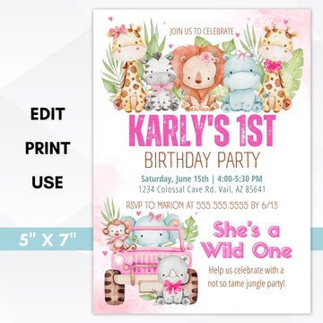 wild one party invitation
